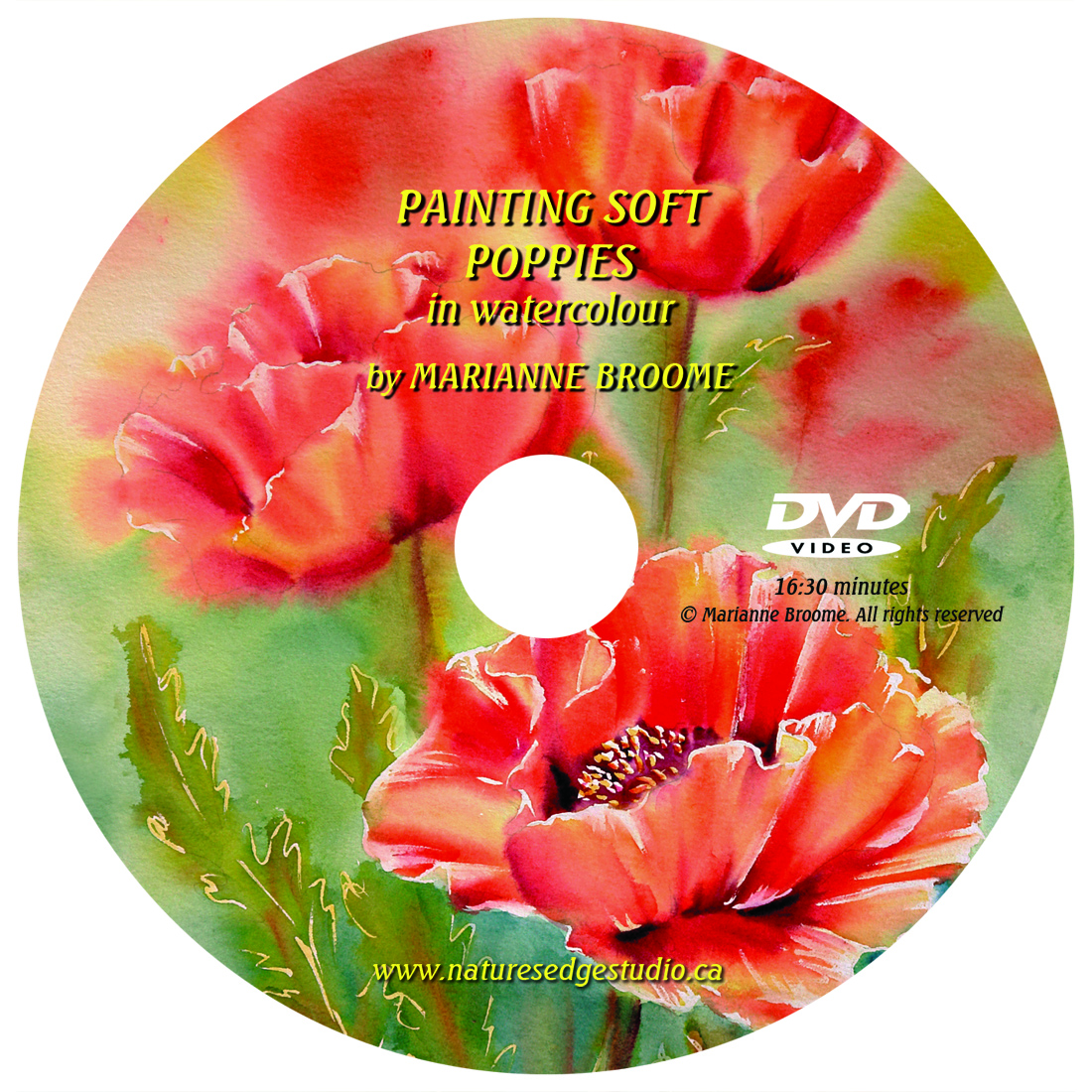 Painting Soft Poppies
